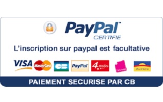 paypal